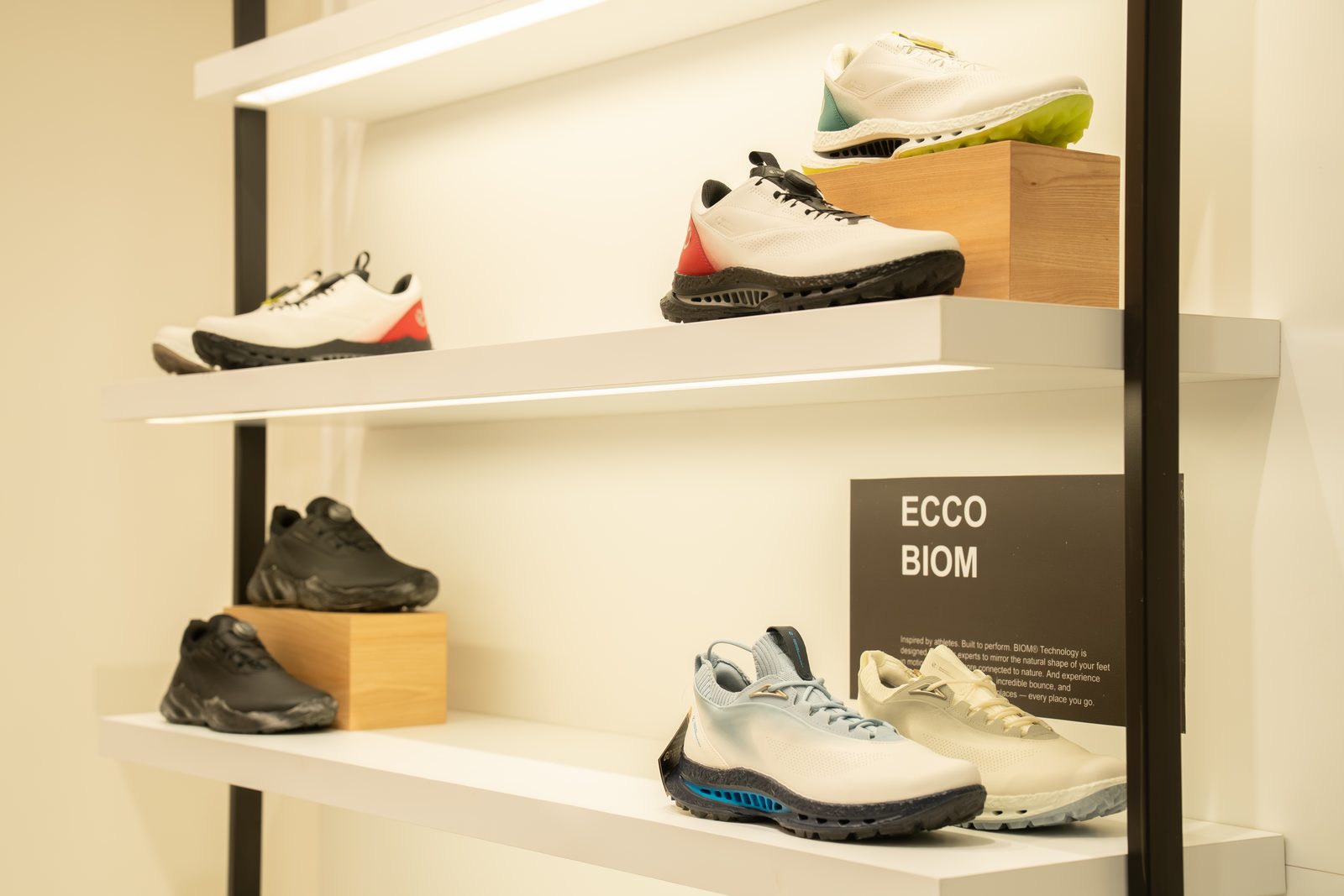 ECCO — behind the scenes